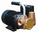 53041-2003-230 JABSCO UTILITY PUMP (1") 230v HEAVY DUTY