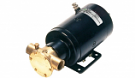 F5B-19 JOHNSON FLEXIBLE IMPELLER PUMP 24v