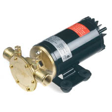 F4B-19-12 JOHNSON FLEXIBLE IMPELLER PUMP 12v