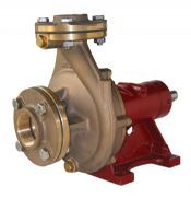 CM40D FP BRONZE BARESHAFT PUMP