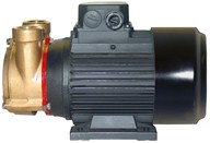 PC25EM4T50V400 BRONZE TURBINE MOTOR PUMP UNIT 3/50/415V