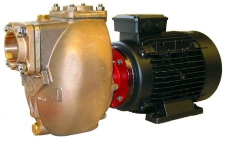 AM40D5EM2T50V400 FP BRONZE MOTOR PUMP UNIT 400V